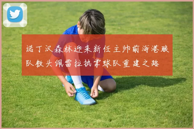 诺丁汉森林迎来新任主帅前海港狼队教头佩雷拉执掌球队重建之路